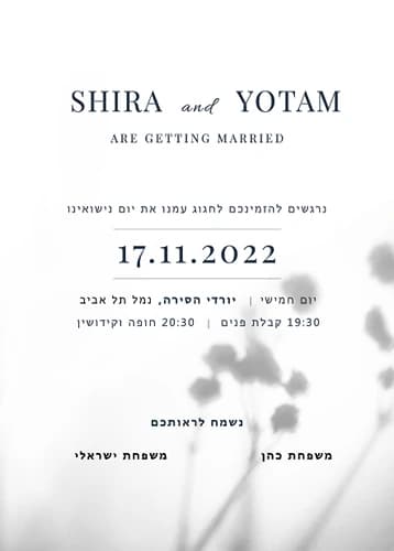 🌼 מינימליסטים ומוכרים